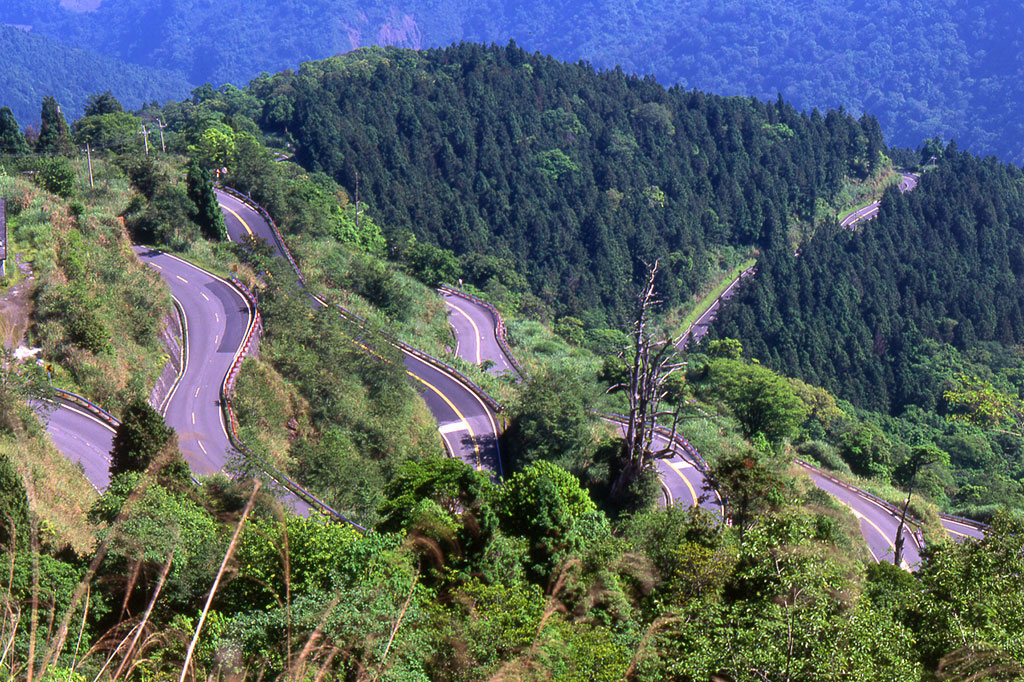 Taipingshan Forest Road