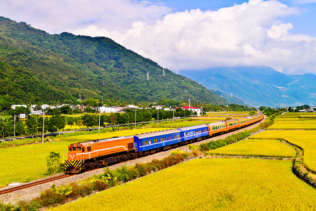 A train crossing a rice field