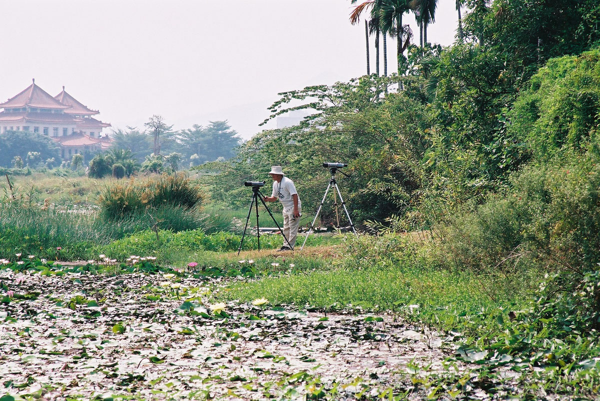 Zhouzi Wetland