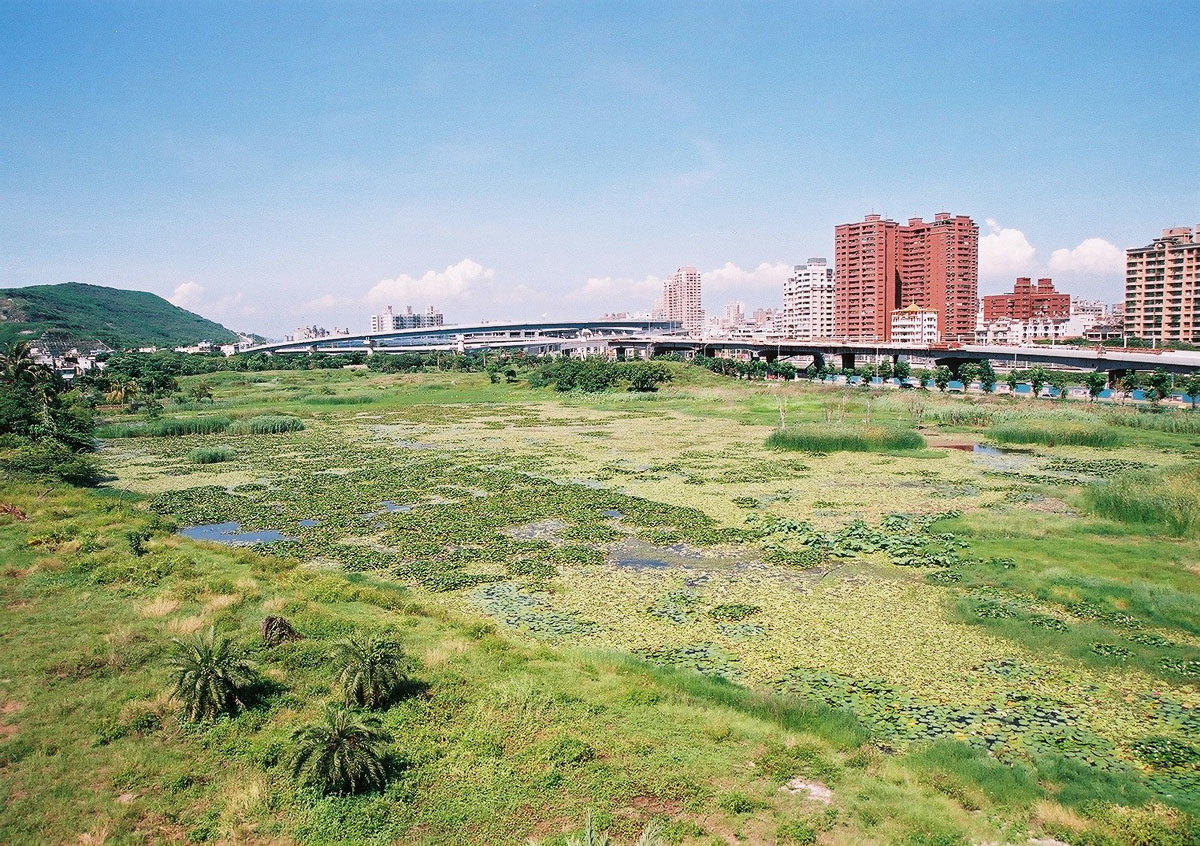 Overlooking Zhouzi Wetland Park