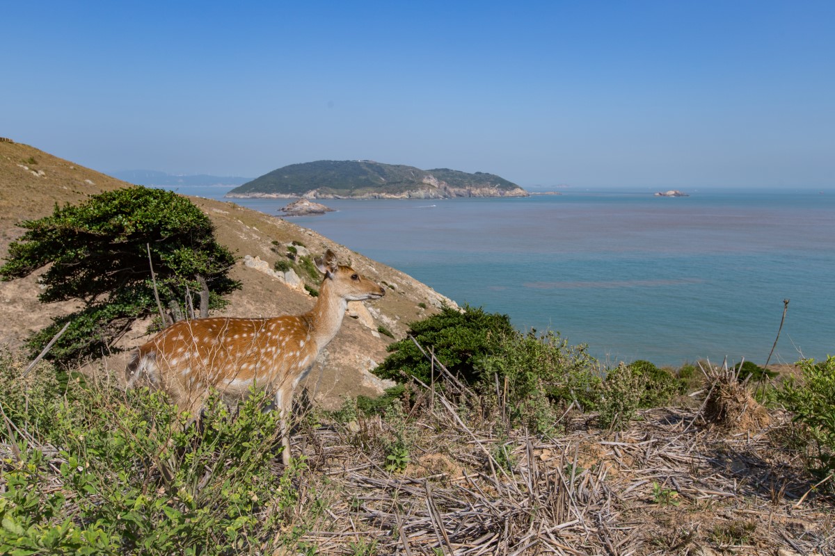 A view from Daqiu Island