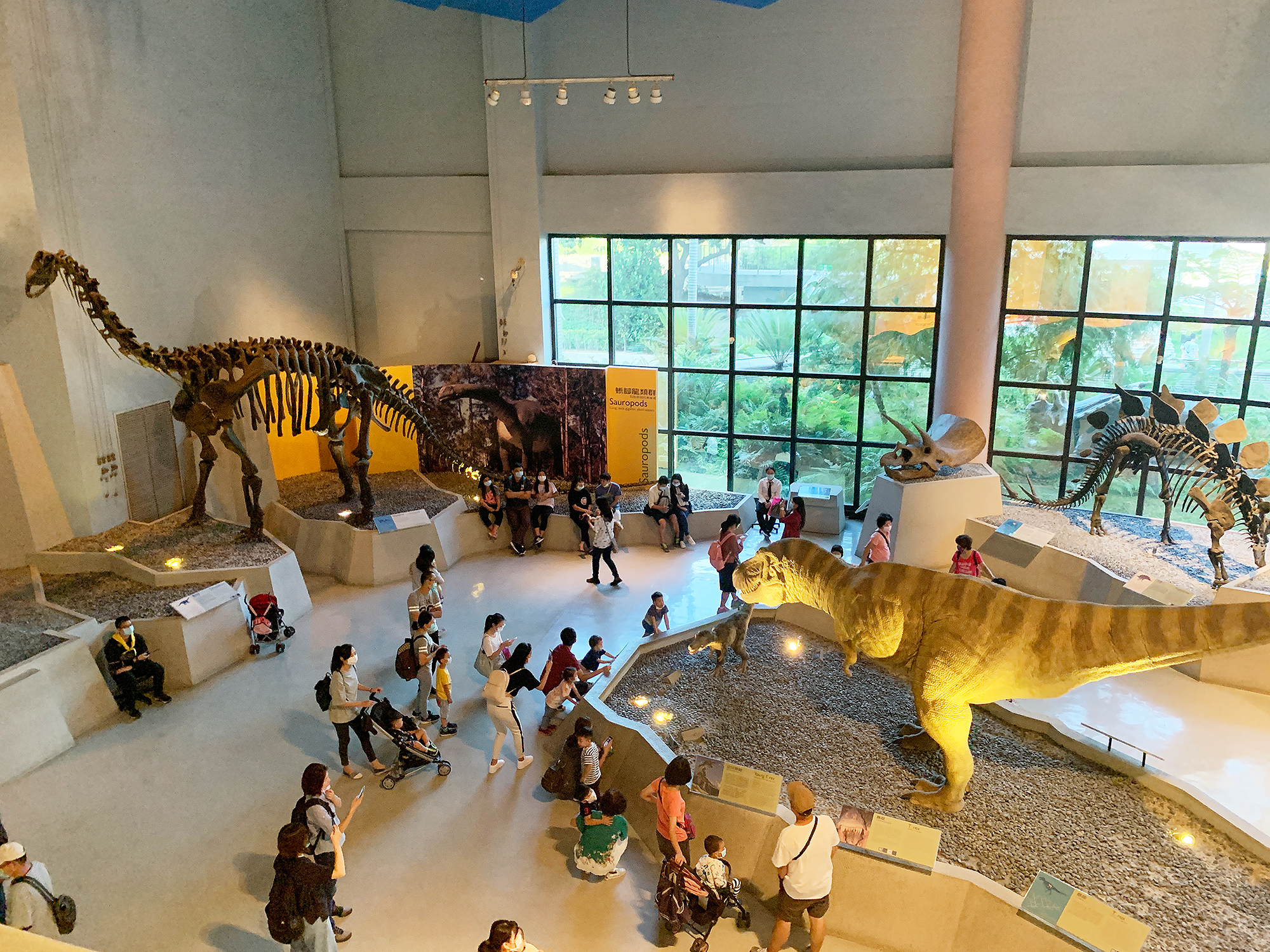 Life Science Hall - The Age of Dinosaurs