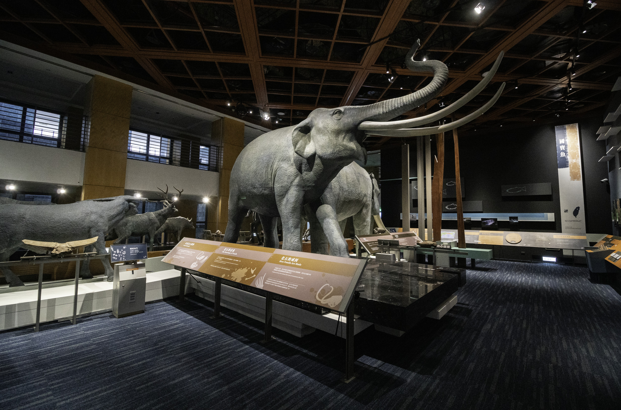 Taiwan Natural History Area – the Ice Age