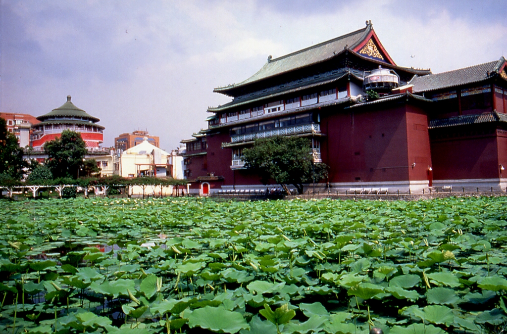 Overlooking the museum from lotus ponds