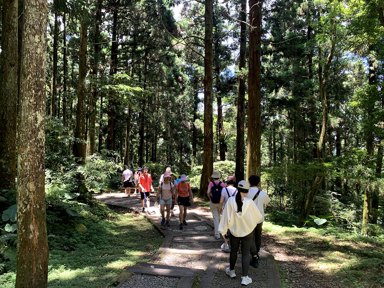 Dongyanshan National Forest Trail