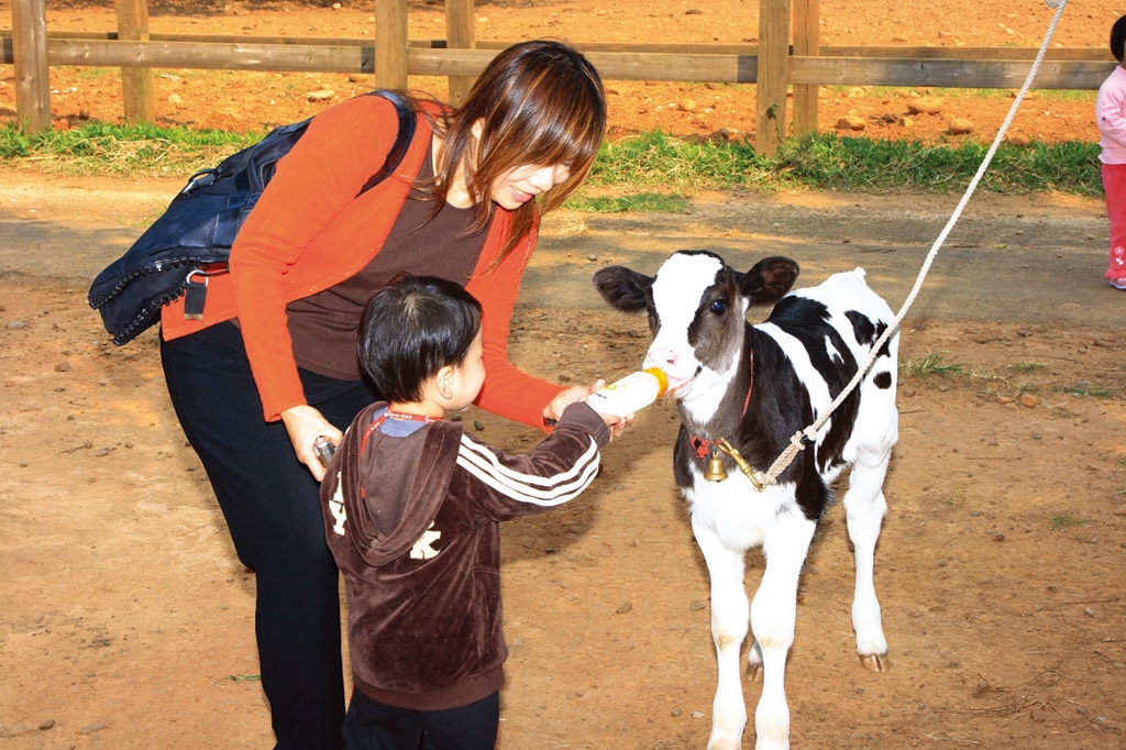 Milk-feeding for calves