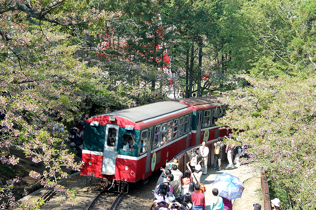Alishan Forest Train