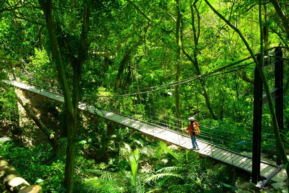 The Great Roots Forestry Hot Spring & Spa Resort