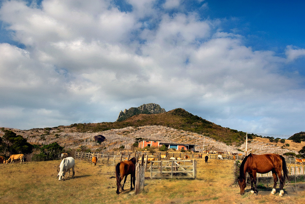 Kenting Rangeland