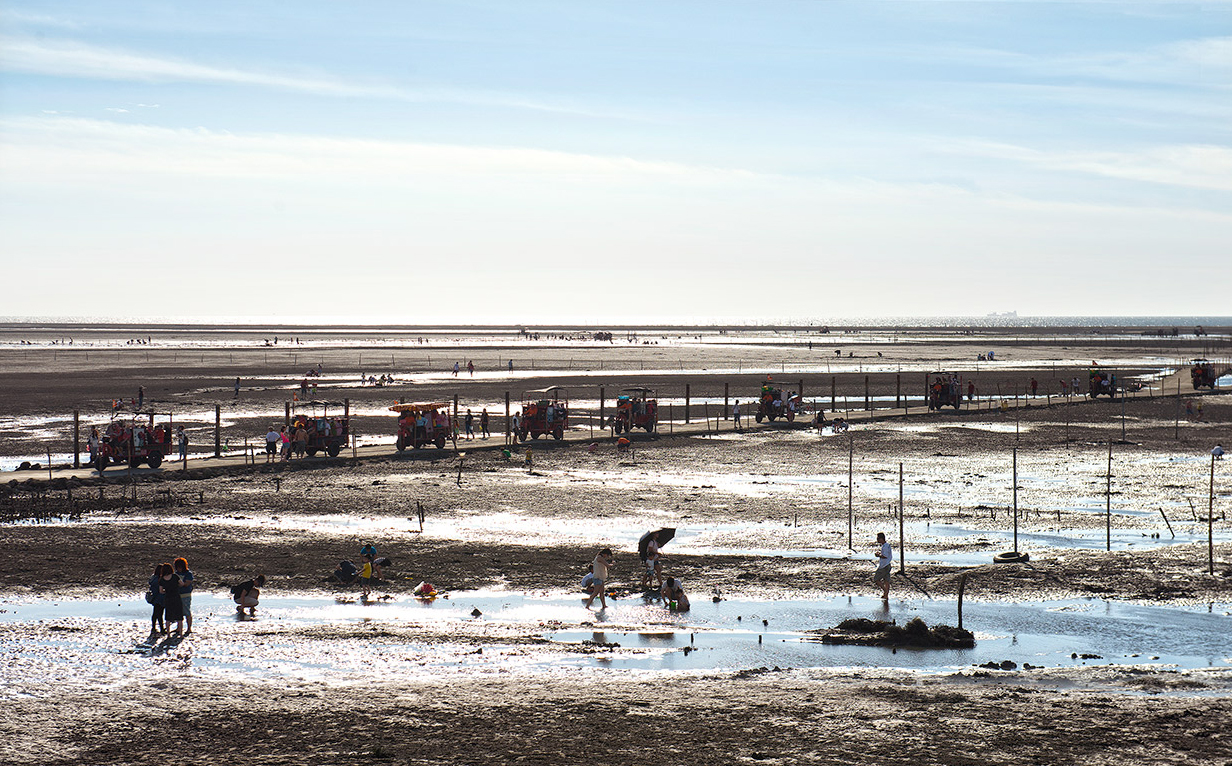 Wanggong Intertidal Zone