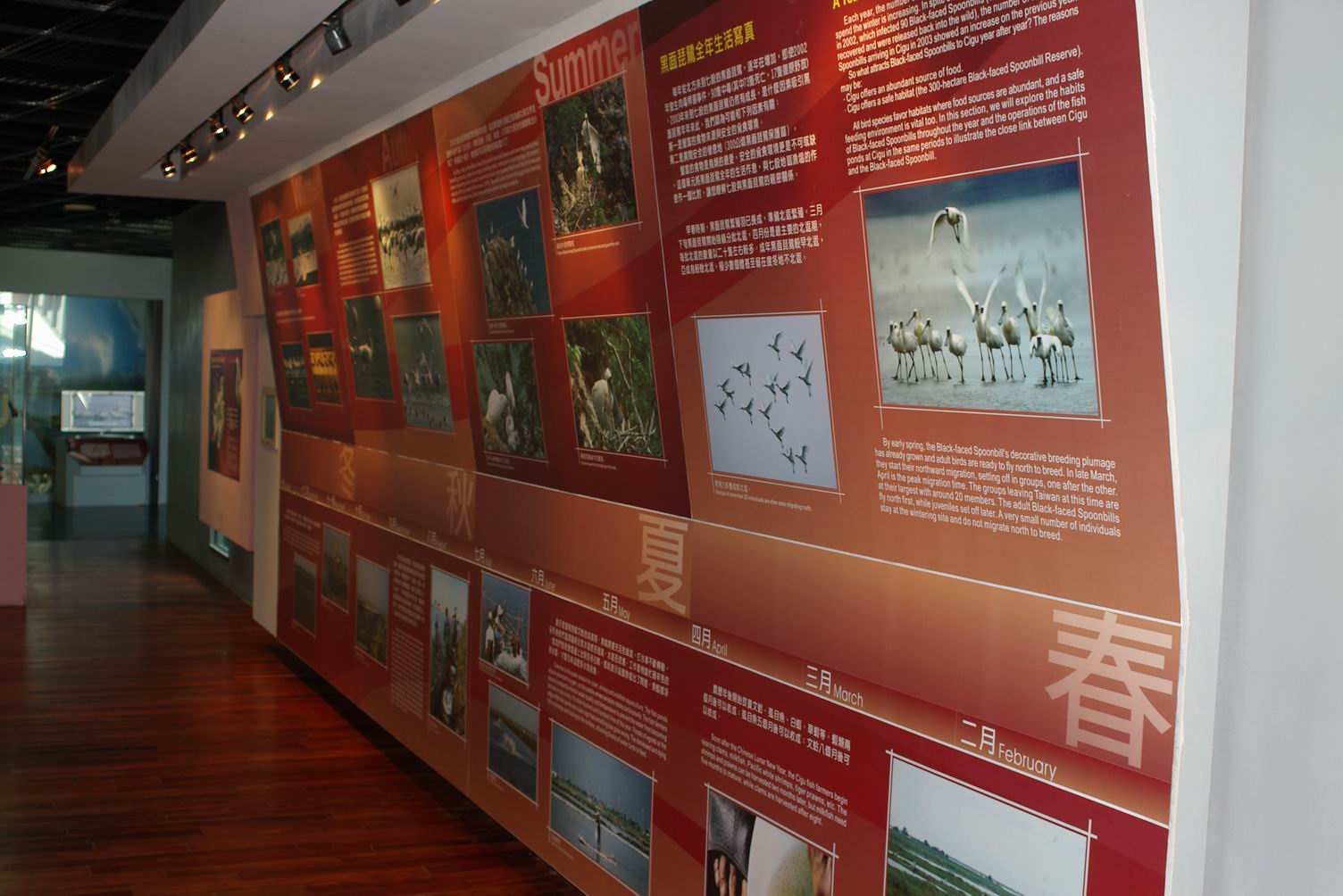 Black-faced Spoonbill Ecology Exhibition Hall - interior