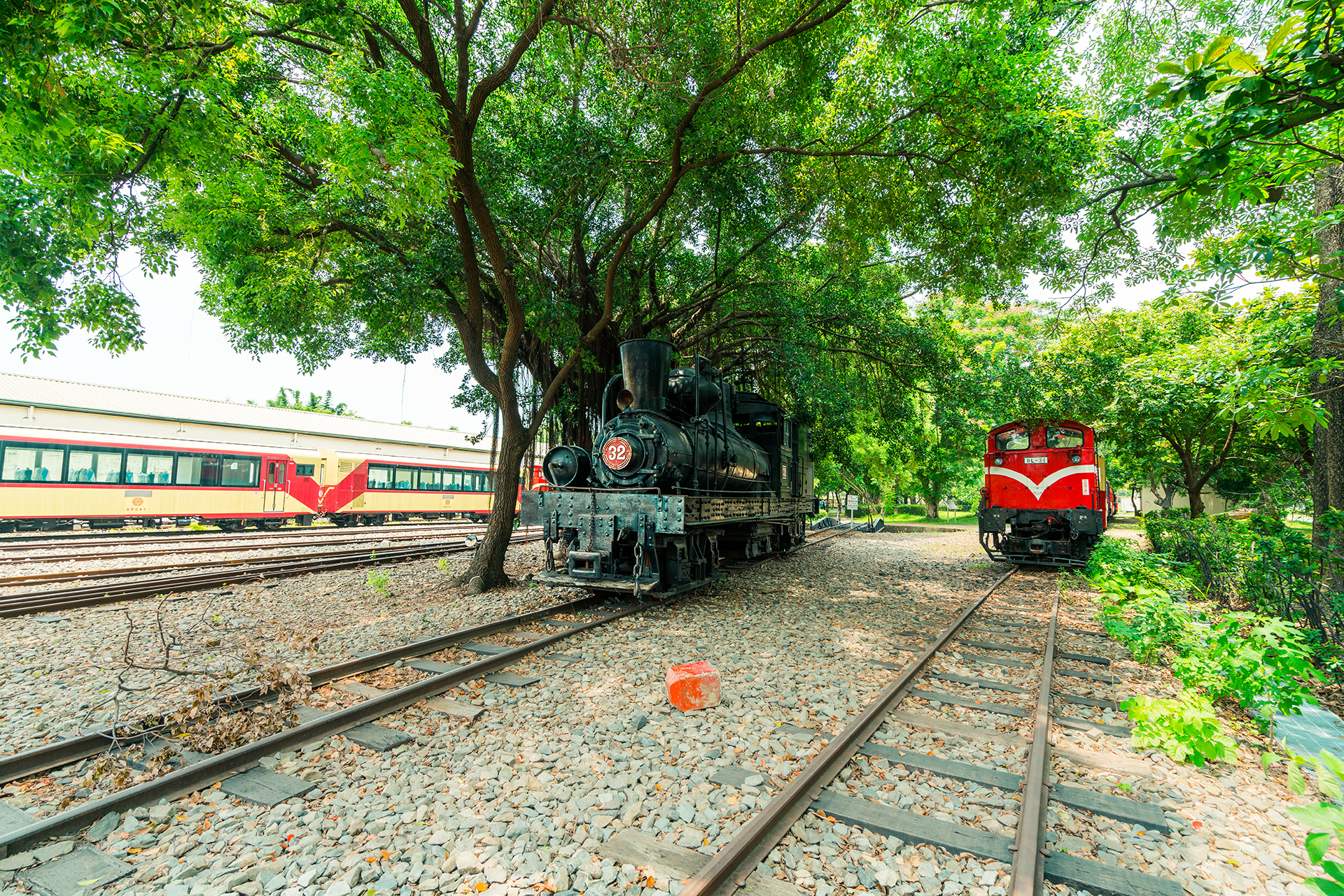 Alishan Forest Railway Garage Park