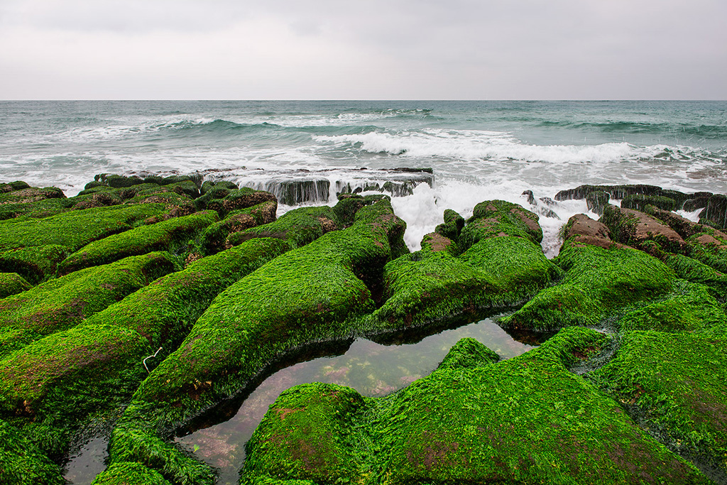 Beautiful Laomei Green Reef