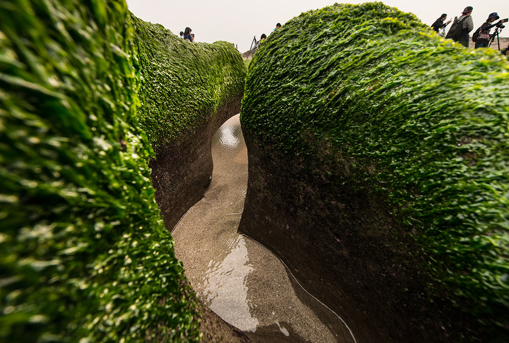 Laomei Green Reef is cover by algae