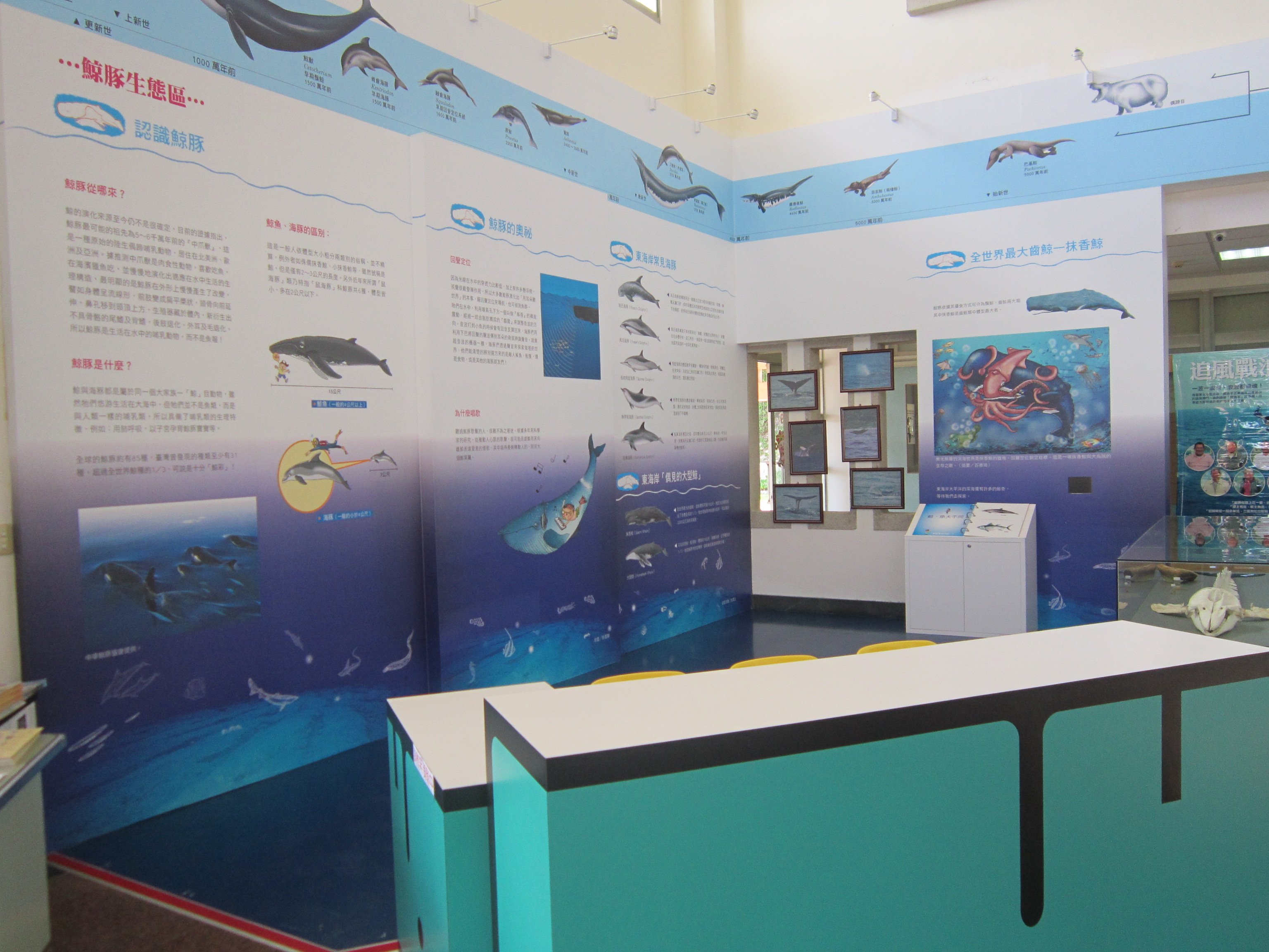Cetacean Ecological Area