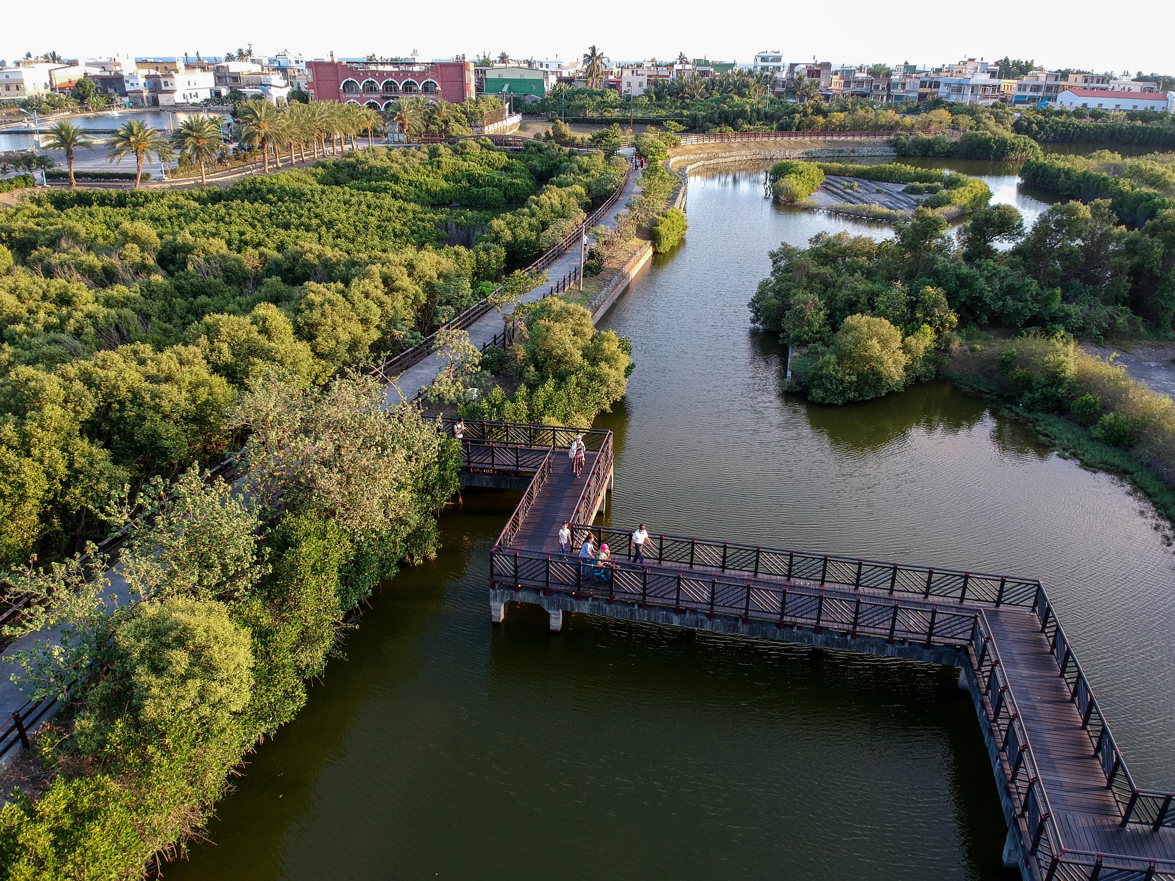 Overlooking Cifong Wetland