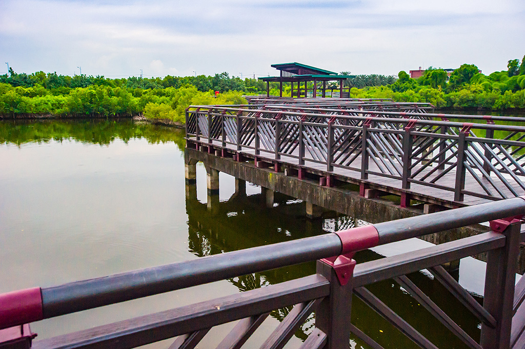 Cifong Wetland Park