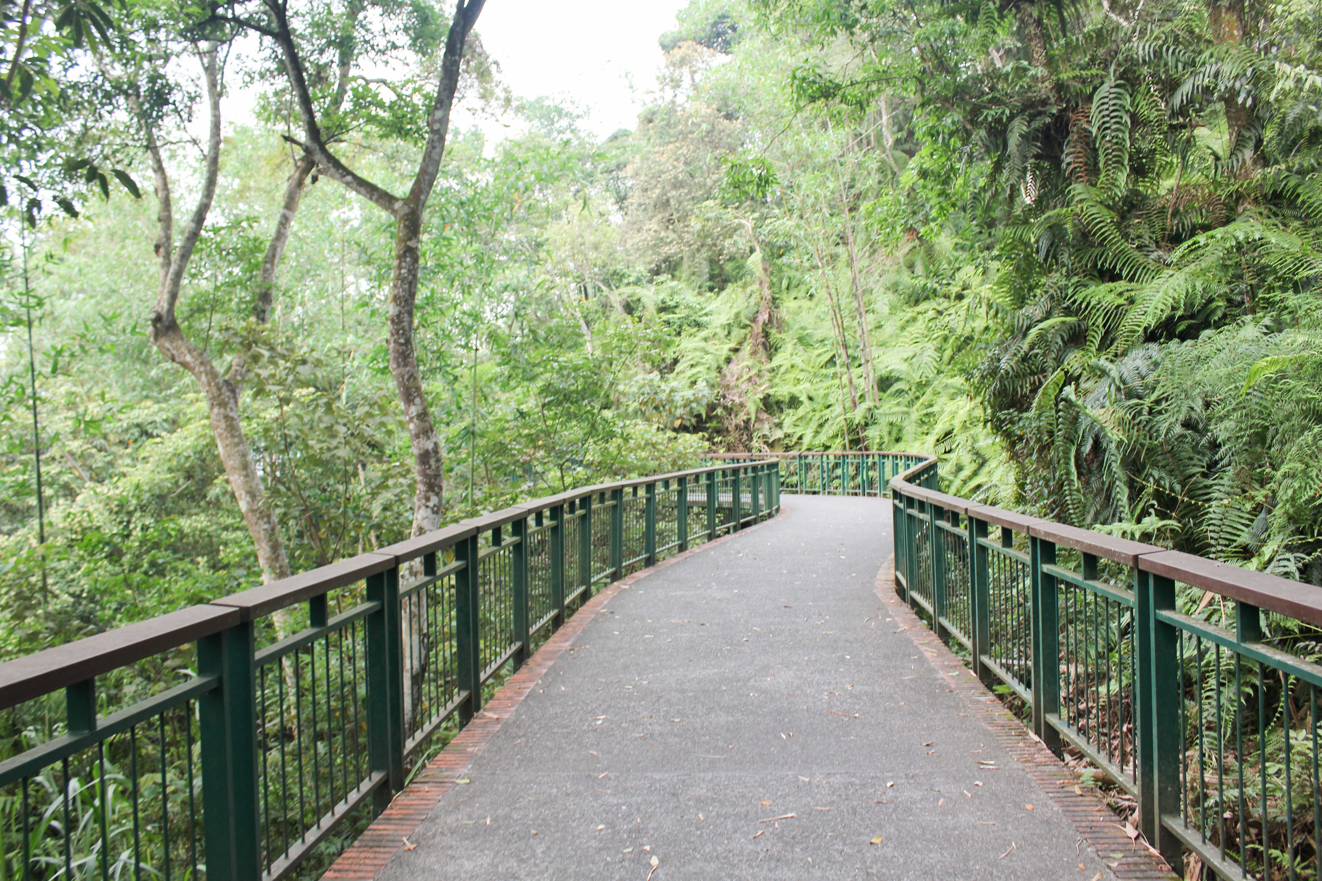 Bikeway