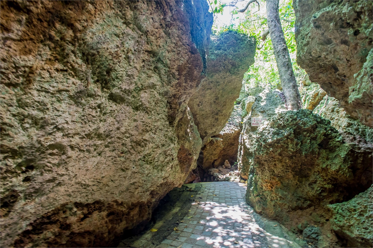 Beauty Cave Trail