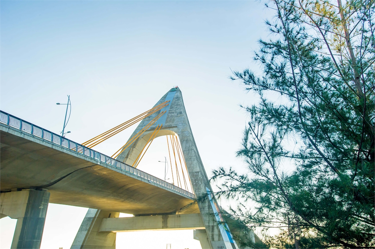 Dapeng Bay Bridge