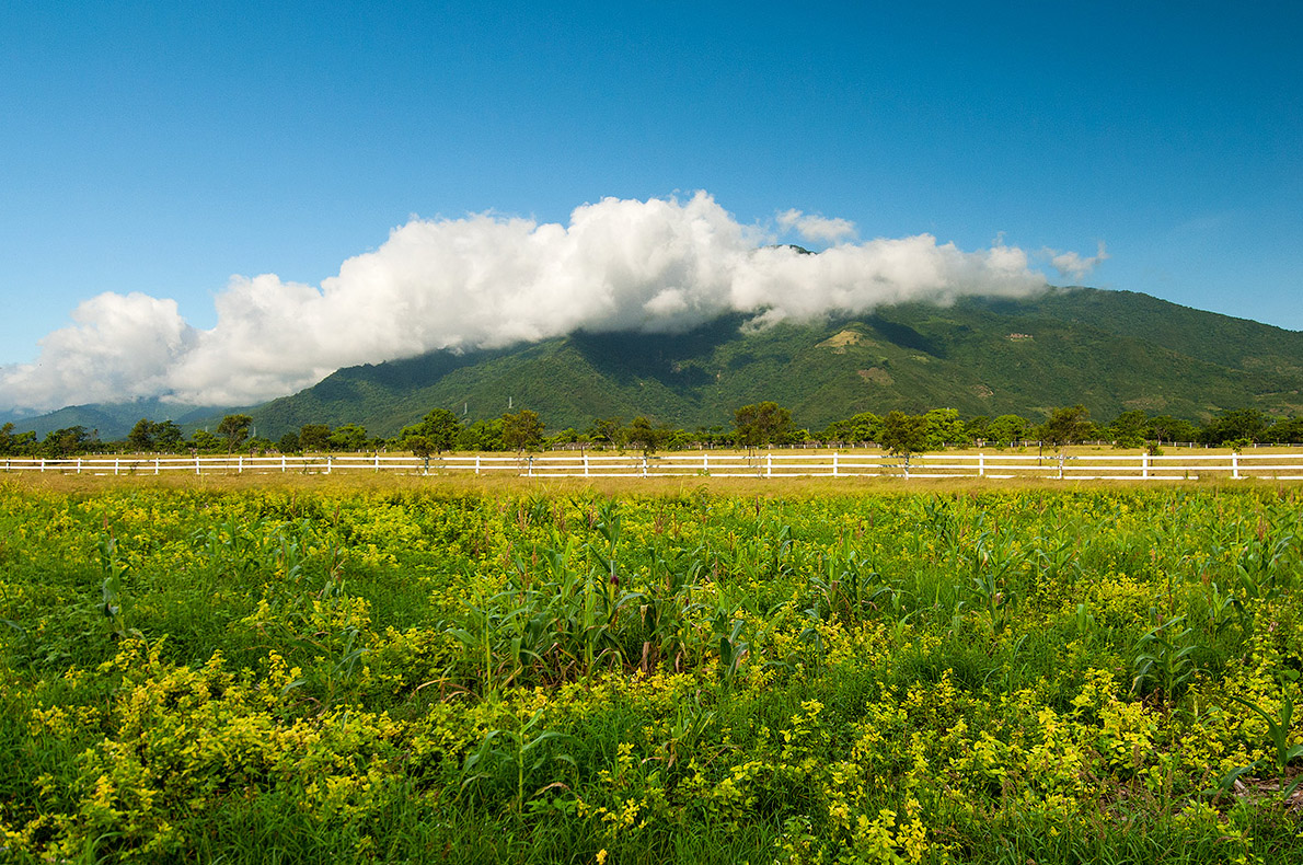 The scenery of Chishang Pastoral Farm Resort