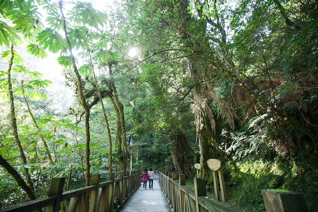 Lalashan Forest Reserve