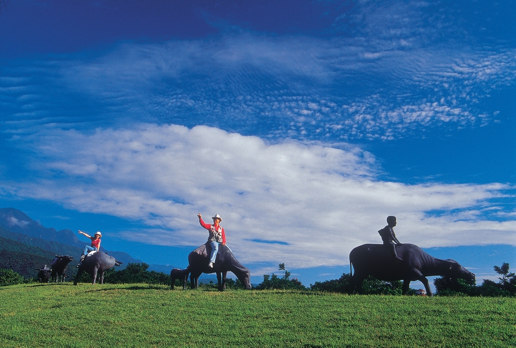 Shin Kong Chao Feng Ranch & Resort