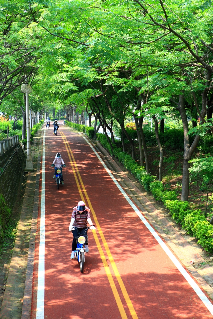 dongfeng bicycle green way