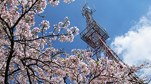 Overseas Tourism Offices