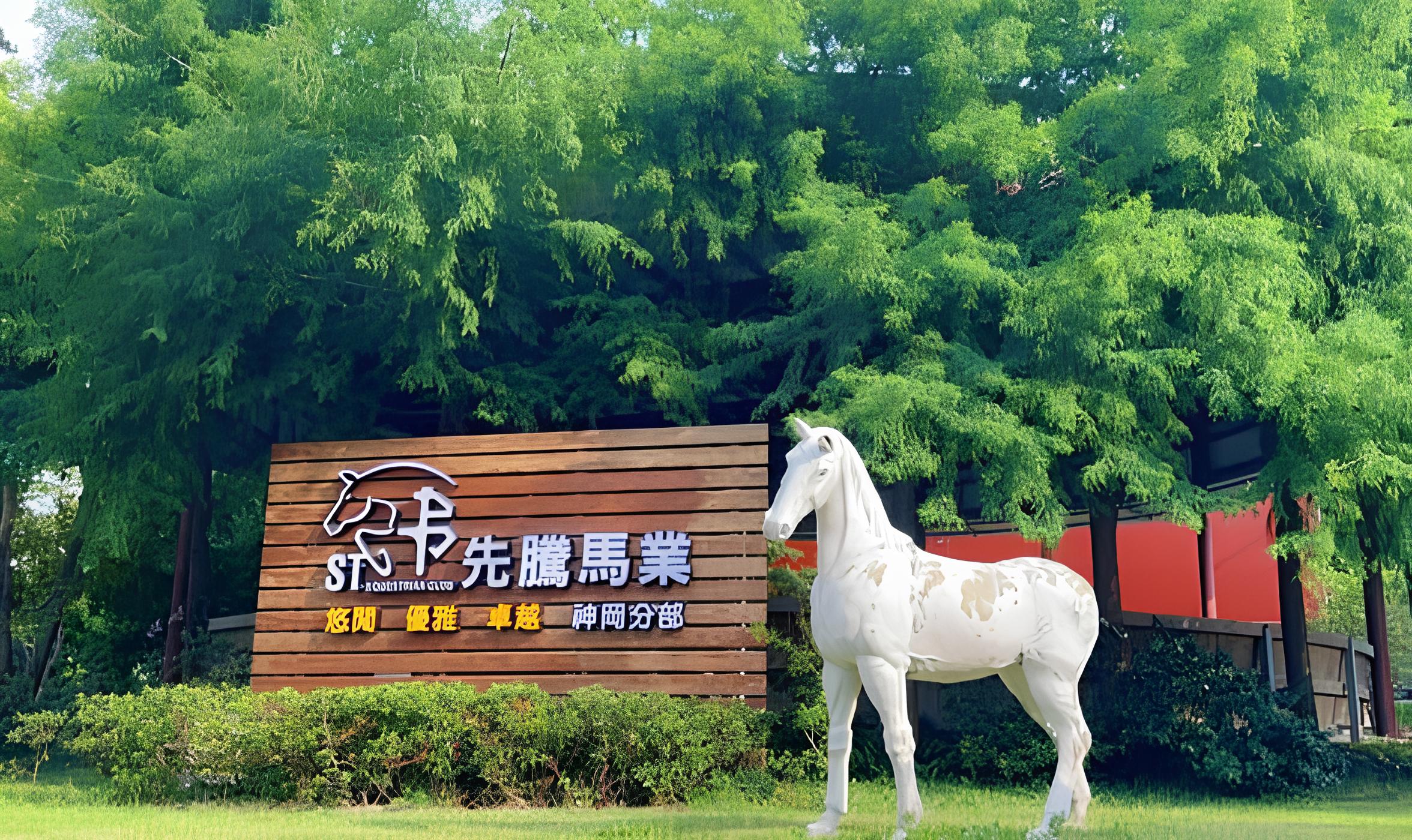 Xianteng Horse Industry Shengang Branch