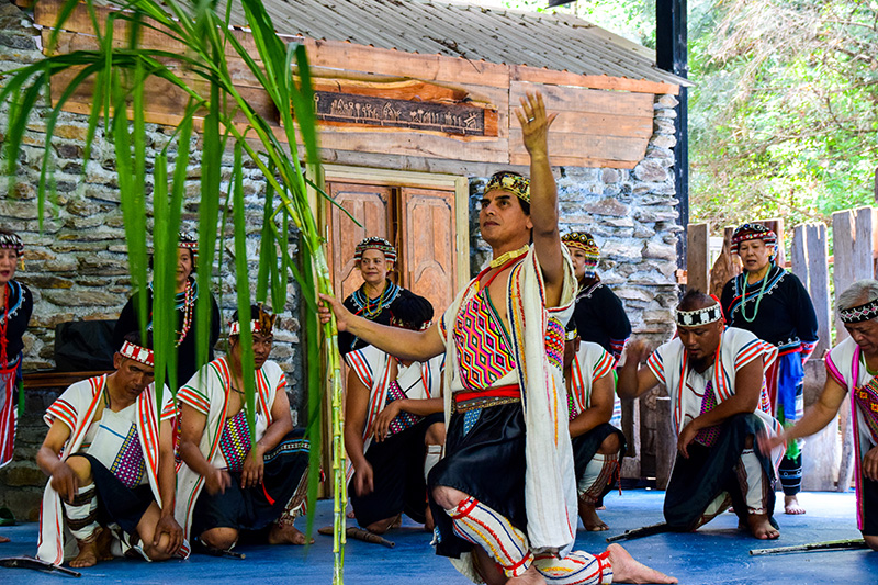  The troupe has members from the Tannan, Dili and Shuanglong aboriginal groups in Nantou County's Xinyi Township. The troupe takes innovative approaches to their community's music and dance cultures. 