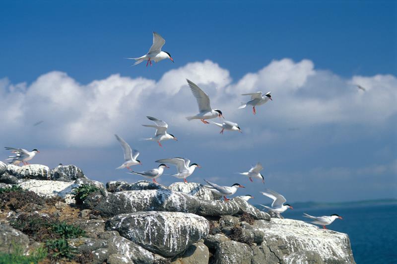 Lienchiang County (Matsu)