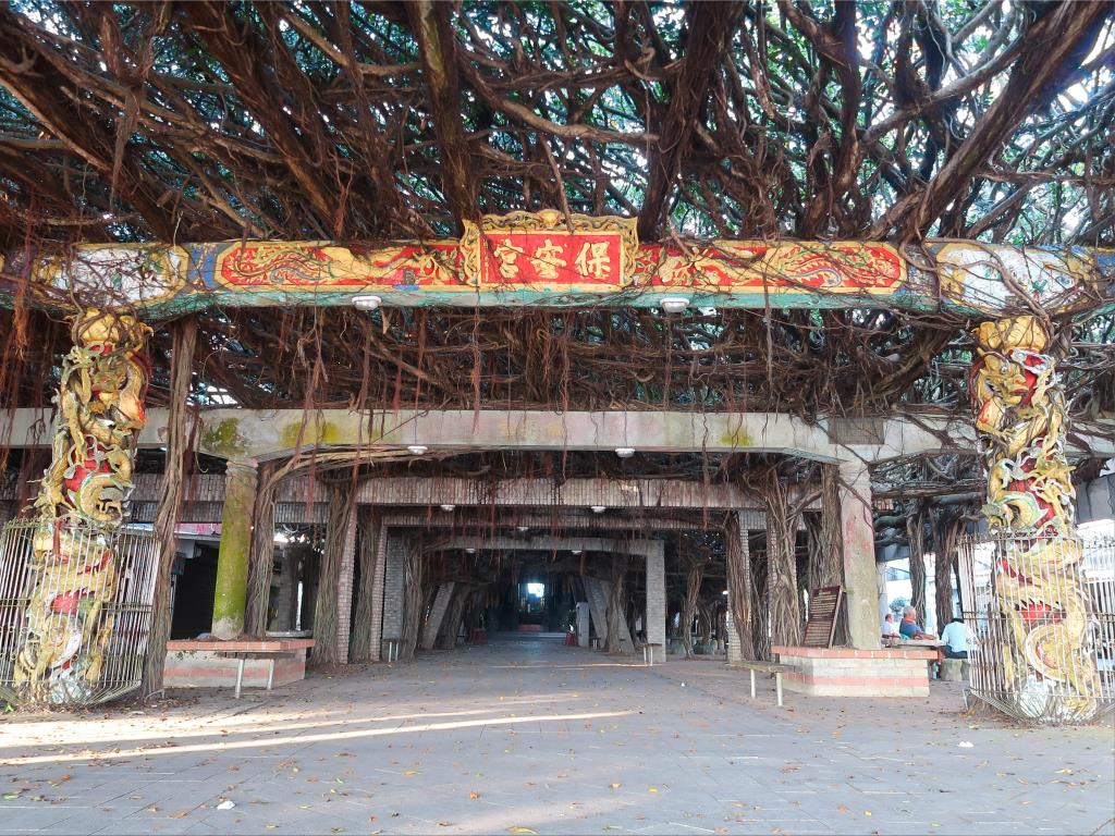 Tongliang Great Banyan