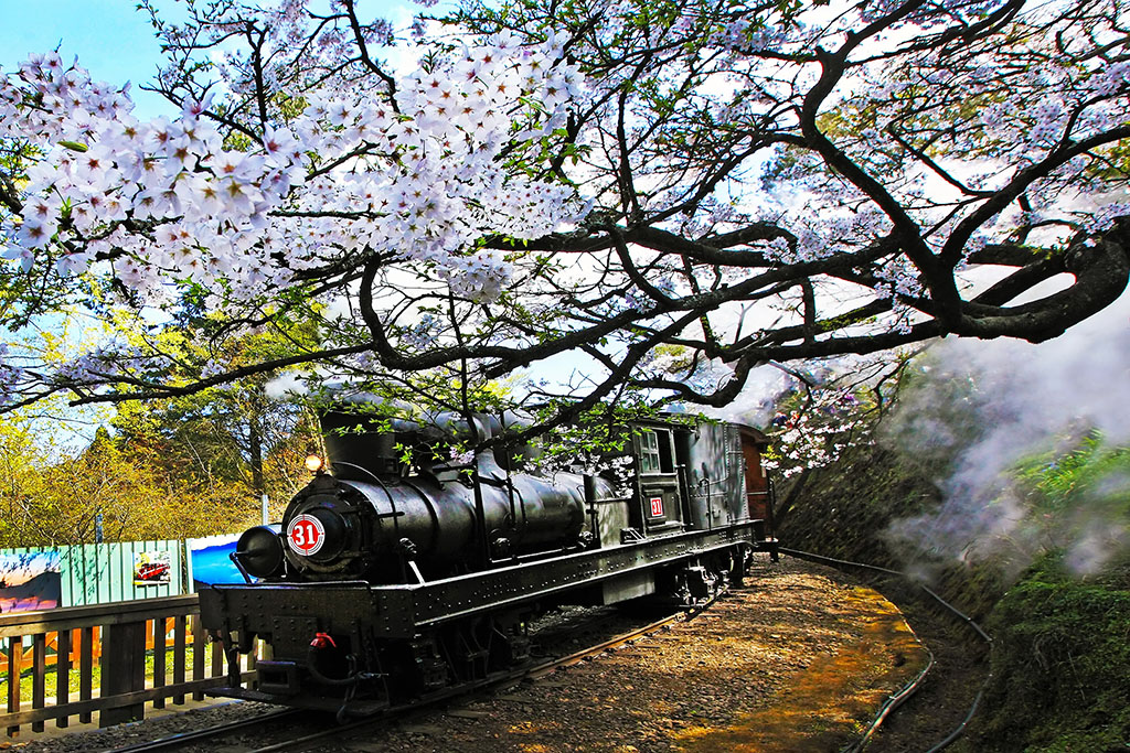 Alishan Forest Railway
