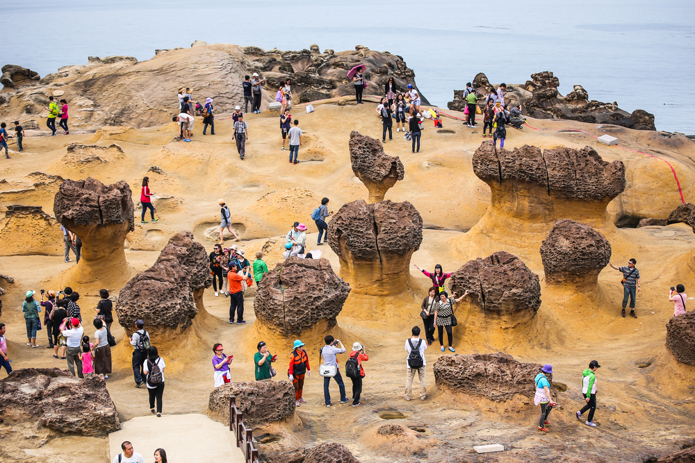 The Mushroom Rocks