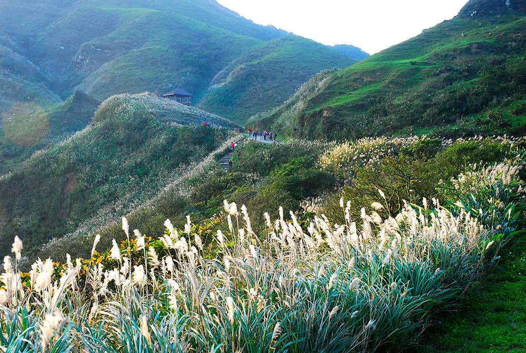 Dali Yilan County