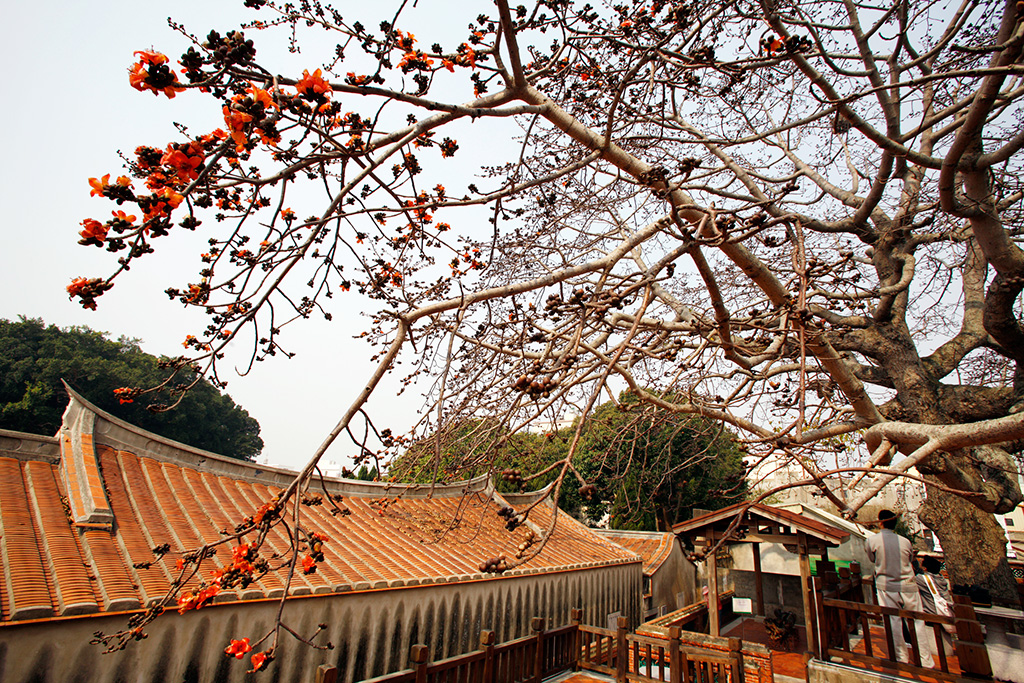 Zhenwei Residence