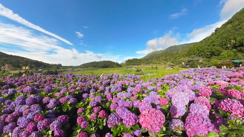 Yangmingshan National Park