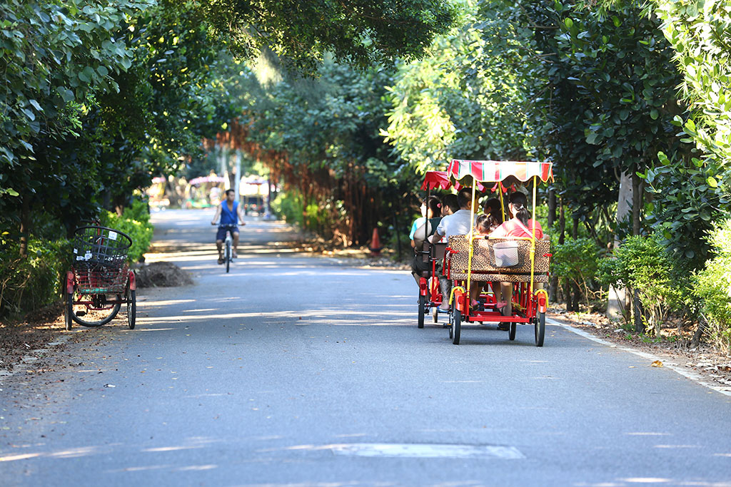 Xinwu Green Tunnel