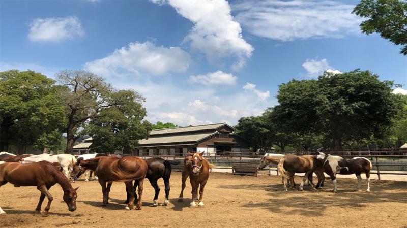 Houli Horse Ranch