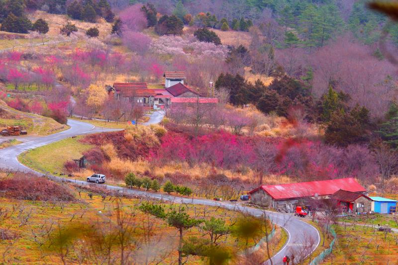 Wuling Farm