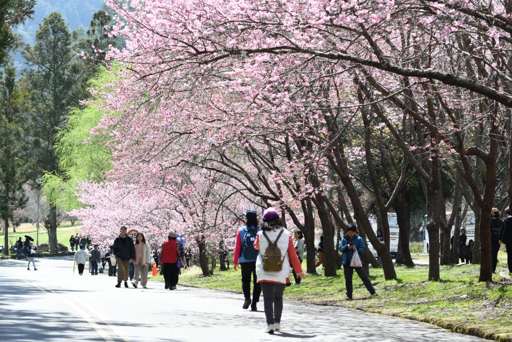 Wuling Farm