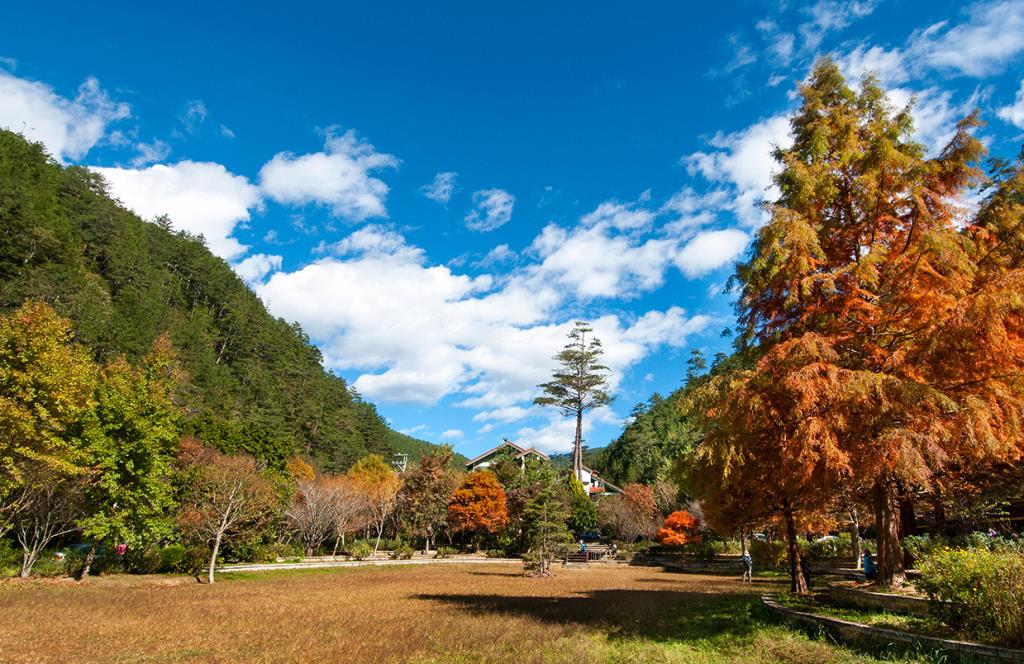 Wuling National Forest Recreation Area
