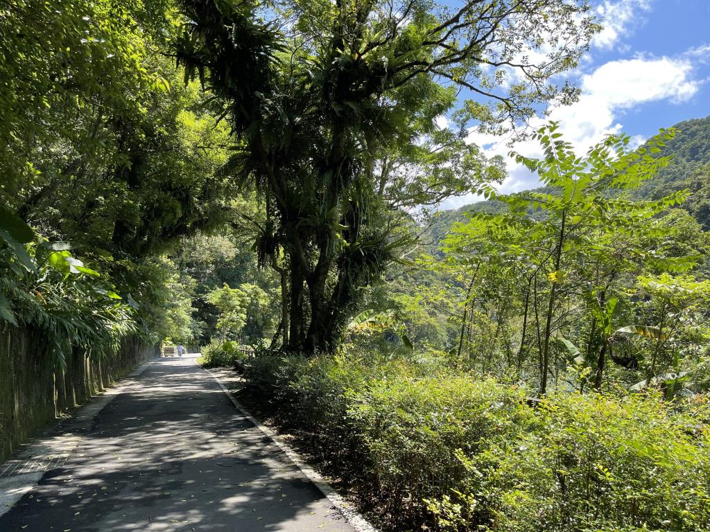 Neidong National Forest Recreation Area
