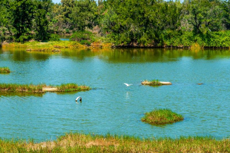 Aogu Wetlands