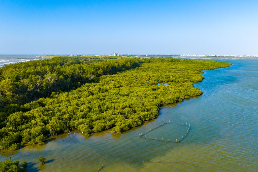 Haomeiliao Nature Reserve
