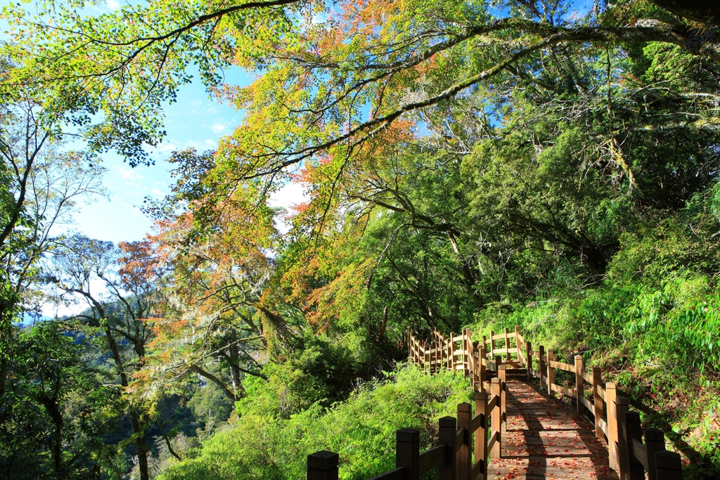 Siangyang National Forest Recreation Area