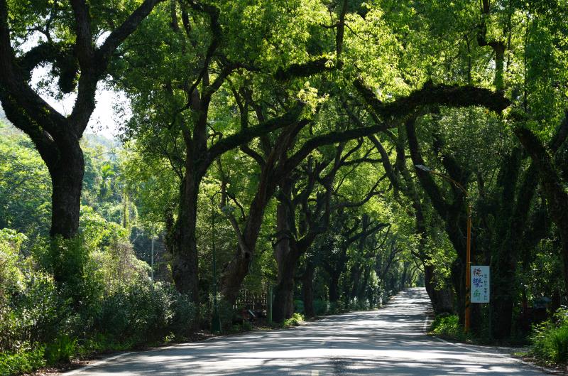 Jiji Township, Nantou County: Railway Impressions and Cycling Excursions