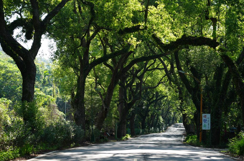 Jiji Township, Nantou County: Railway Impressions and Cycling Excursions