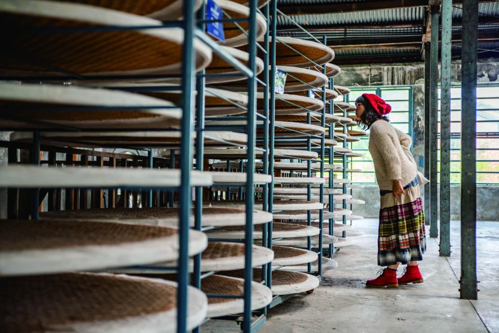 Daxi Tea Factory